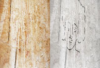 פורטל הכרמל