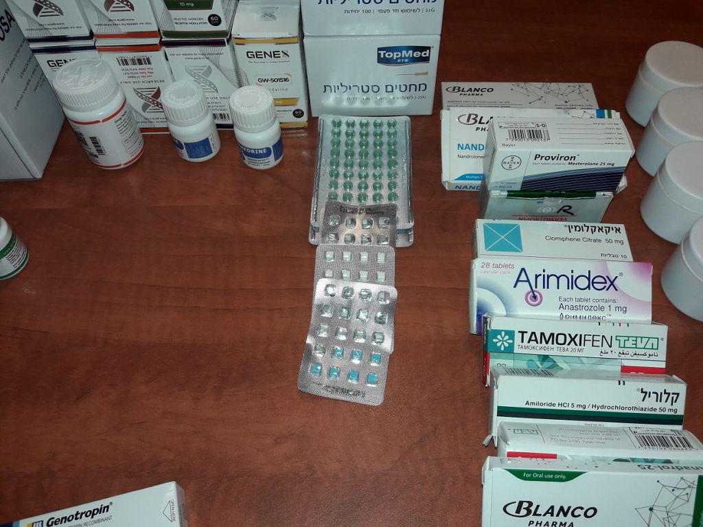 פורטל הכרמל