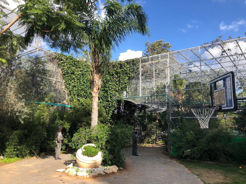 פורטל הכרמל