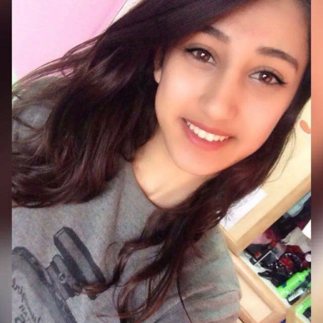 פורטל הכרמל