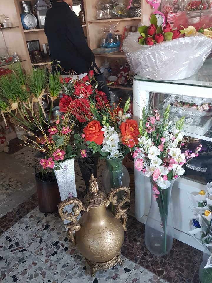 פורטל הכרמל