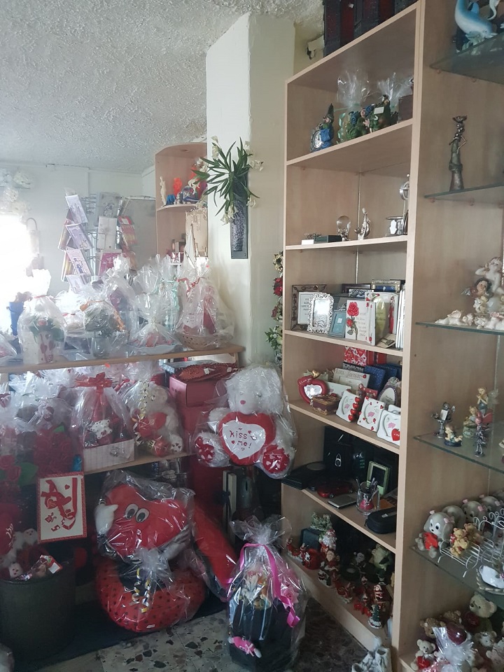 פורטל הכרמל