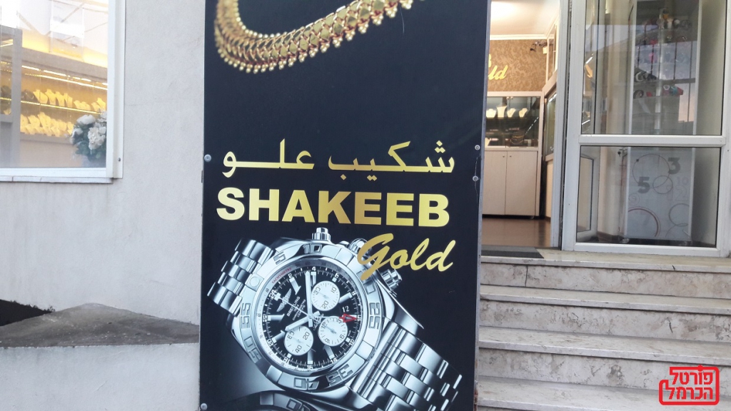 פורטל הכרמל