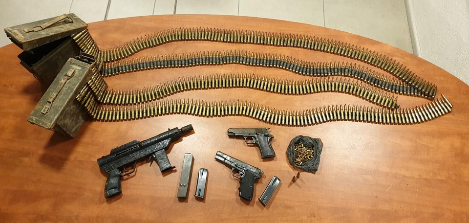 פורטל הכרמל