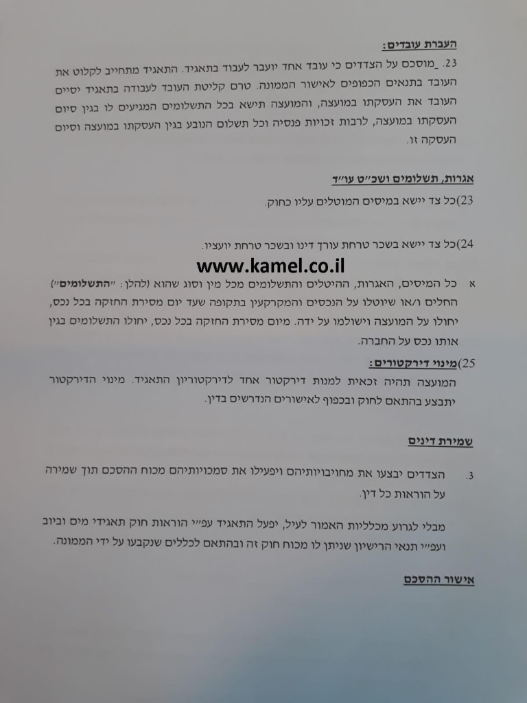 פורטל הכרמל