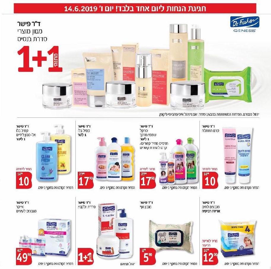 פורטל הכרמל