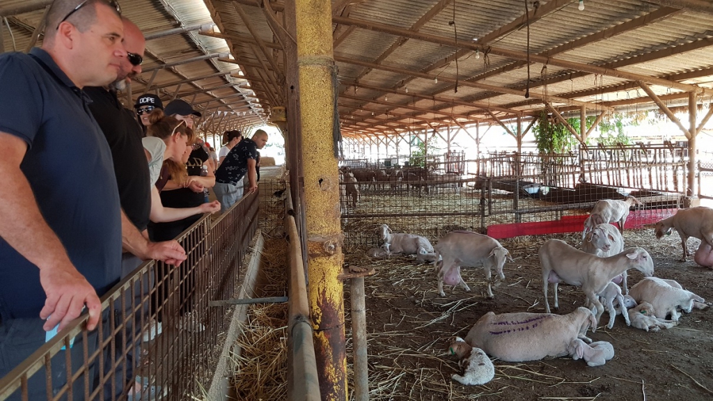 פורטל הכרמל