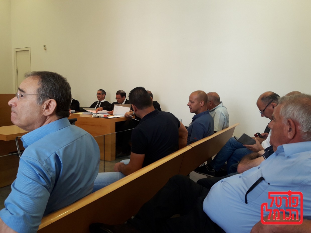 פורטל הכרמל