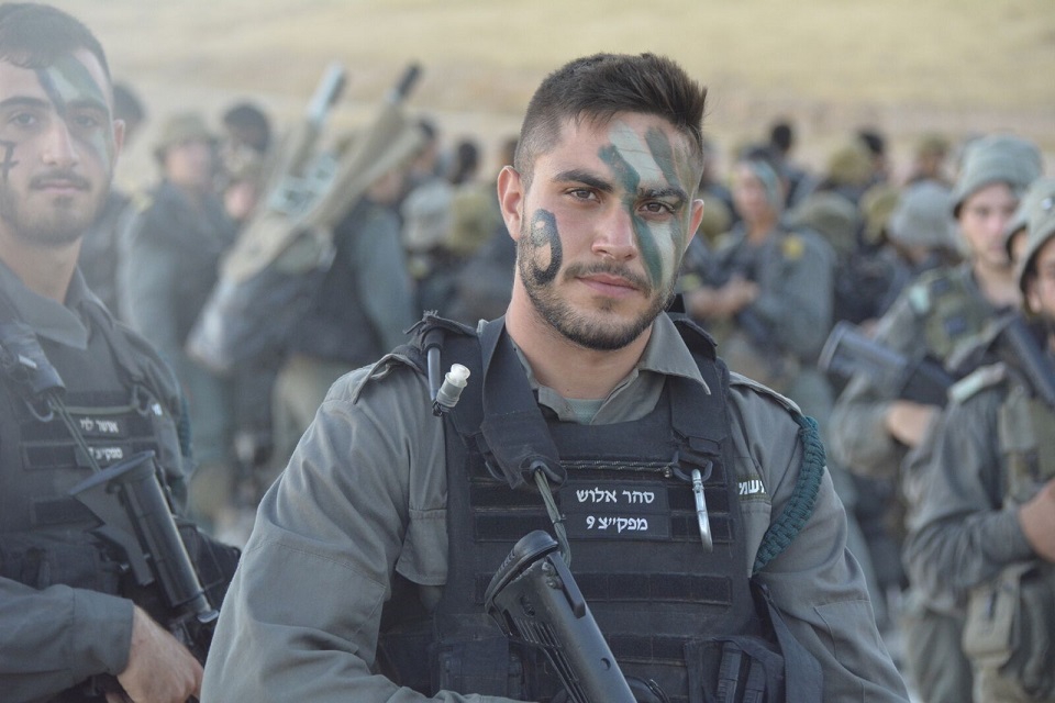 פורטל הכרמל