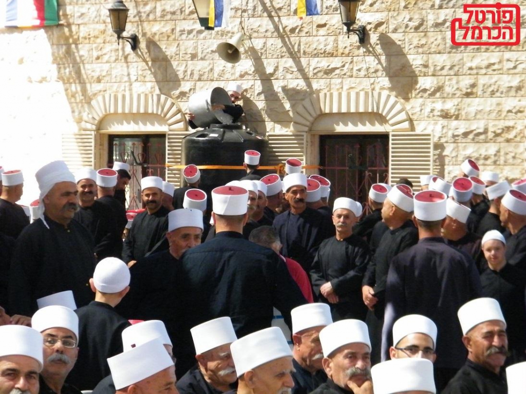 פורטל הכרמל