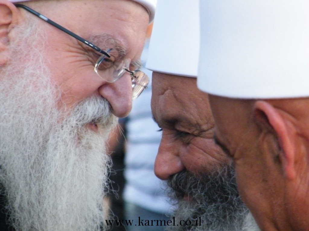 פורטל הכרמל