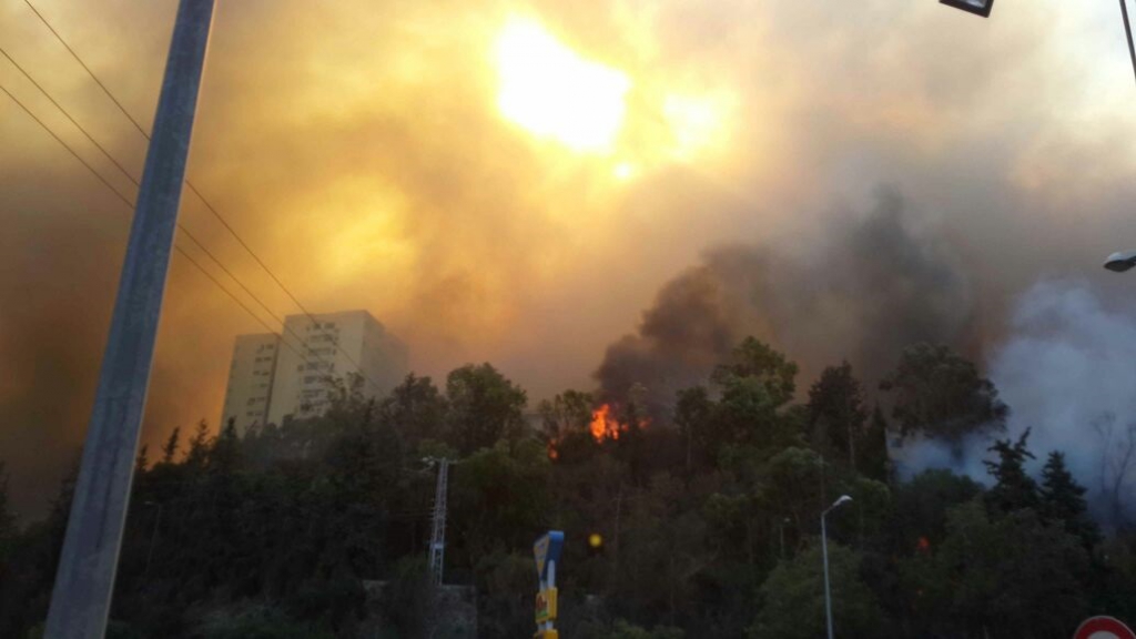 בתים ביקנעם פונו בשל שריפת חורש