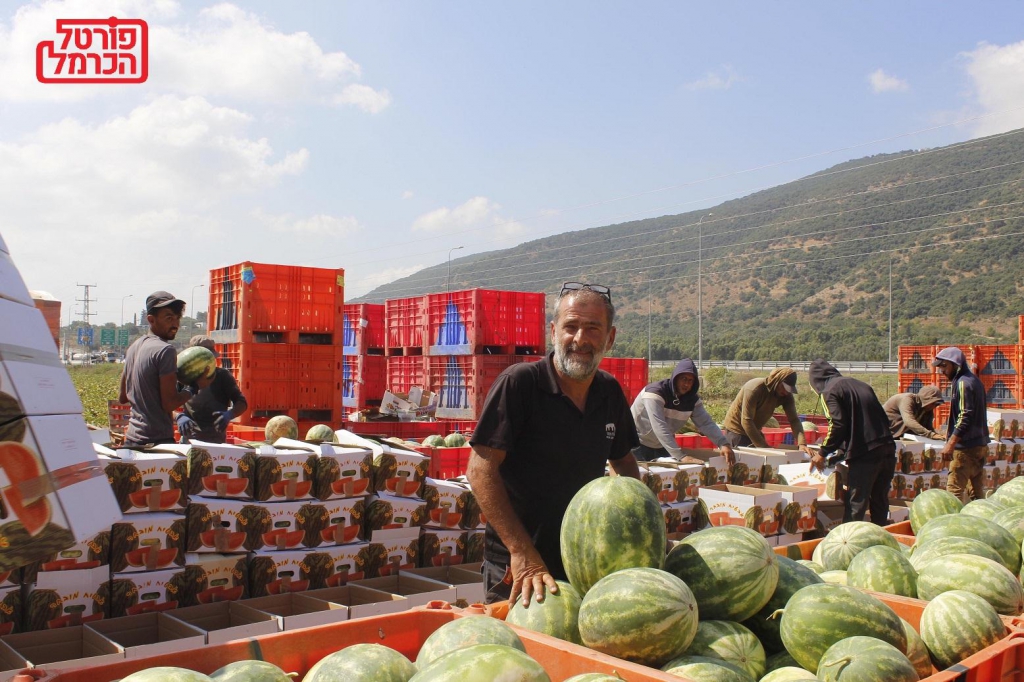 פורטל הכרמל