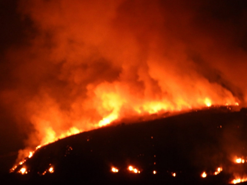תמונות מהשריפה בשמורת הטבע סוסיתא