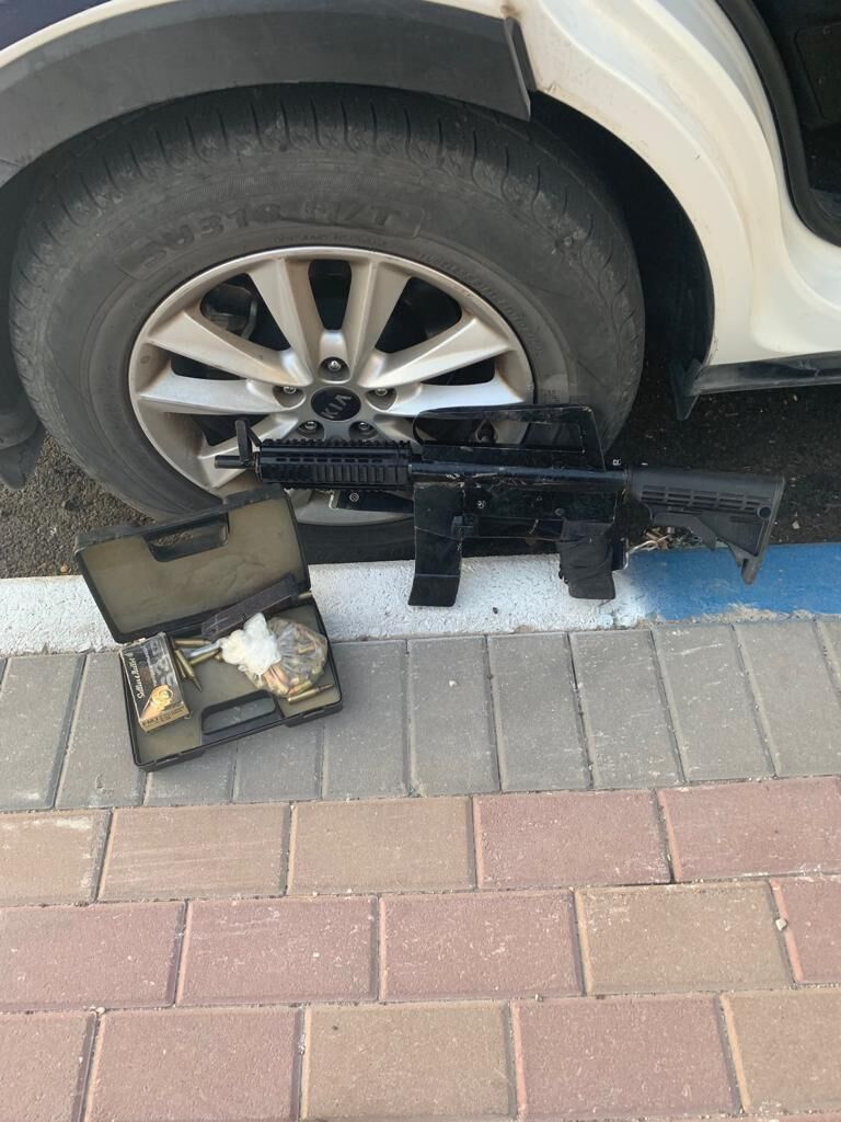 פורטל הכרמל