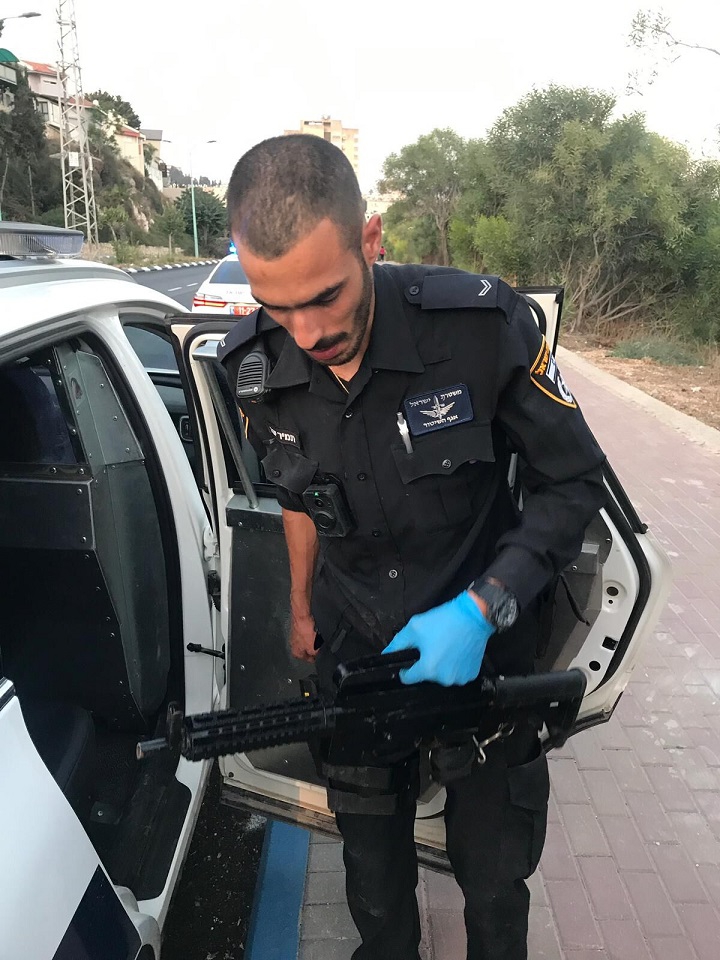 פורטל הכרמל