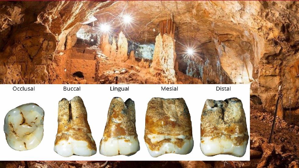 במערת מנות בגליל התגלו שיני אדם מלפני כ-40 אלף שנה