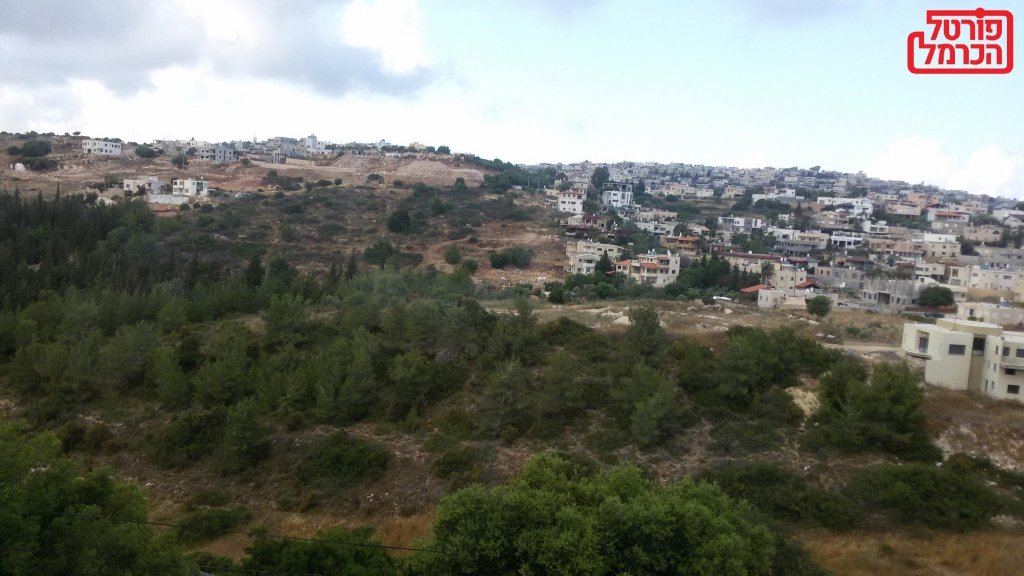 פורטל הכרמל