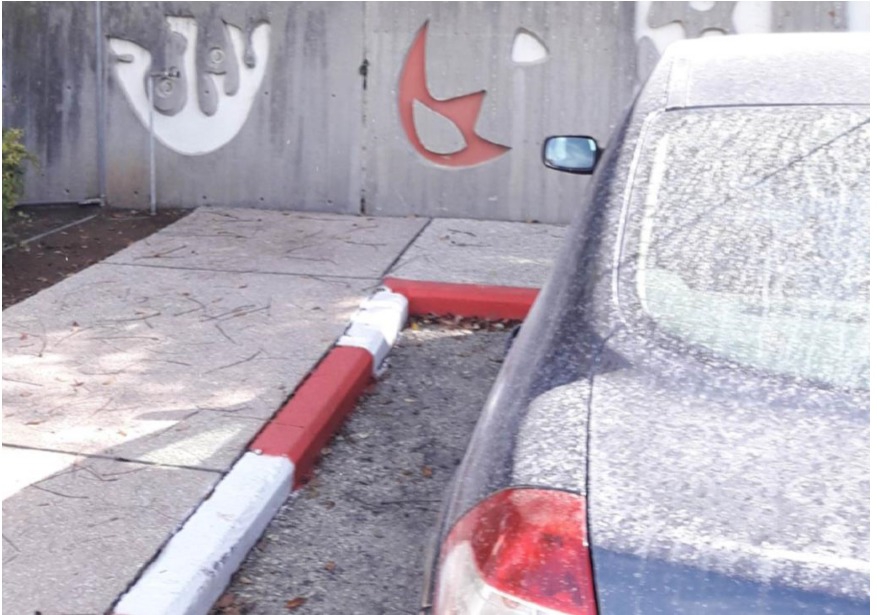 פורטל הכרמל