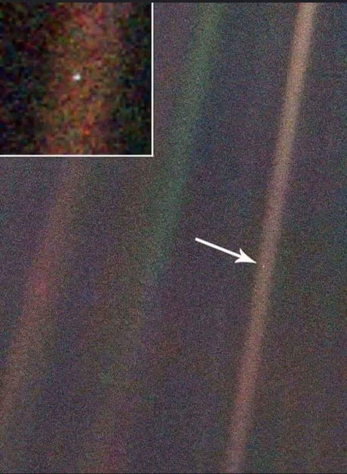 פורטל הכרמל