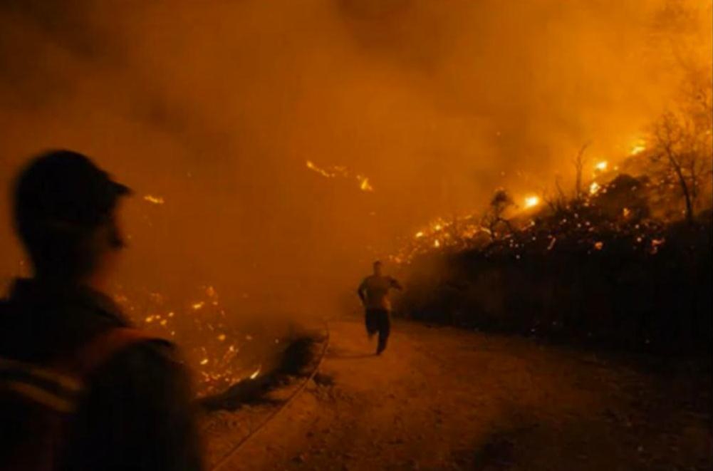 פורטל הכרמל