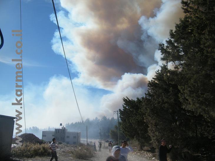 פורטל הכרמל