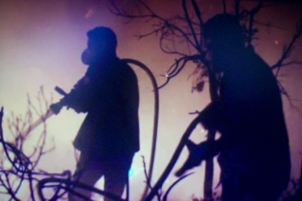 פורטל הכרמל