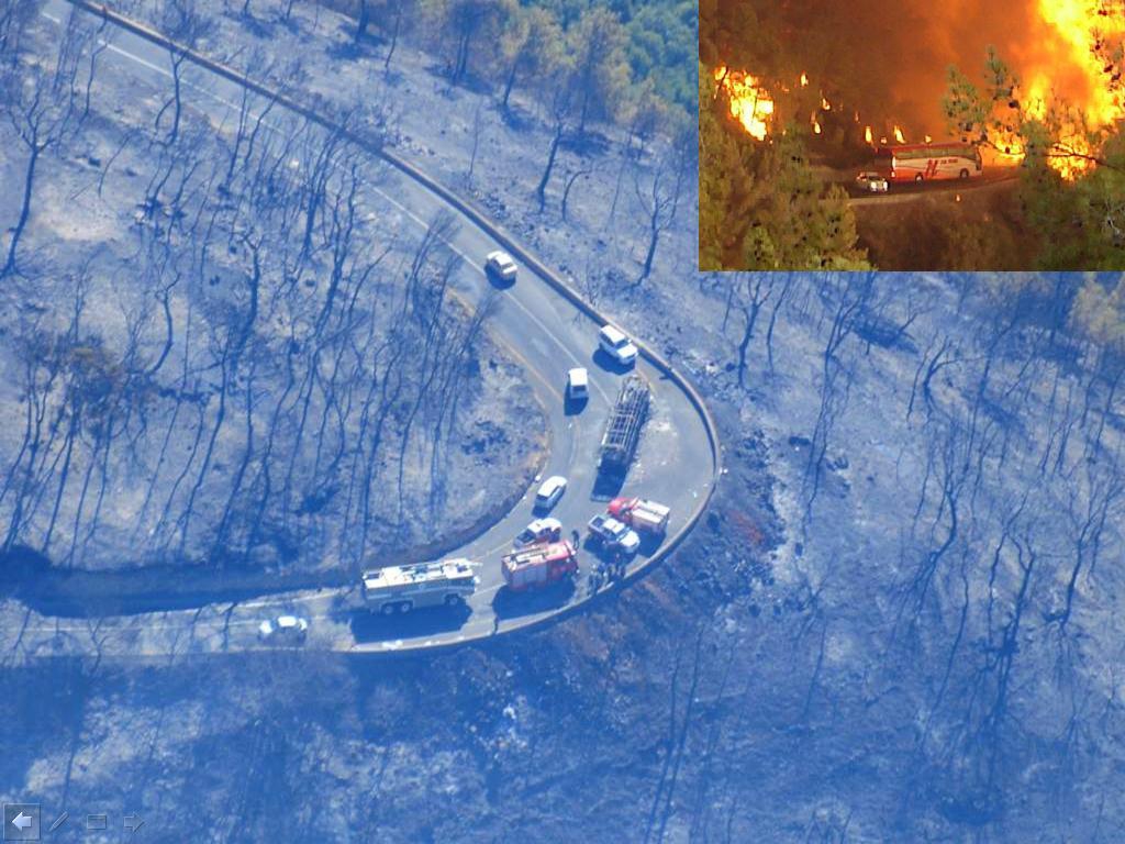 פורטל הכרמל