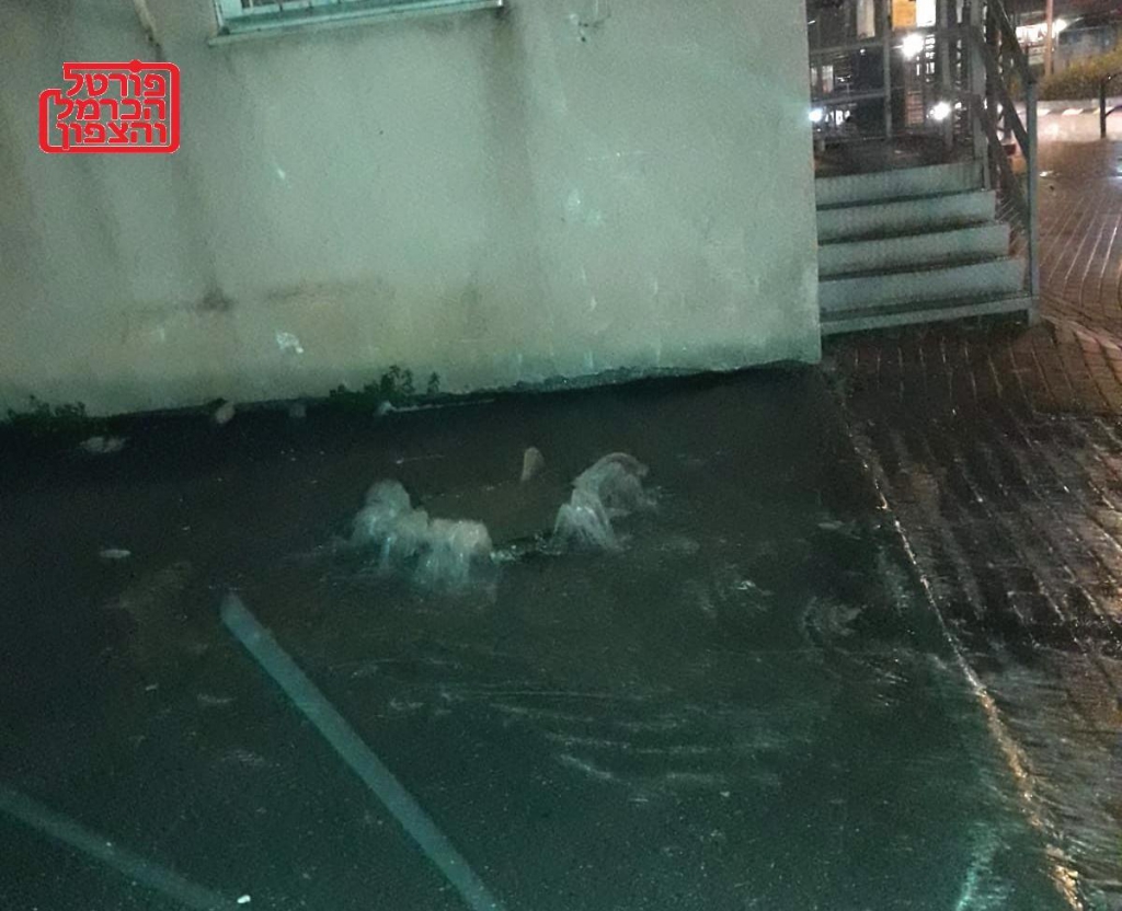 פורטל הכרמל