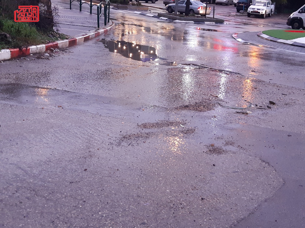 פורטל הכרמל