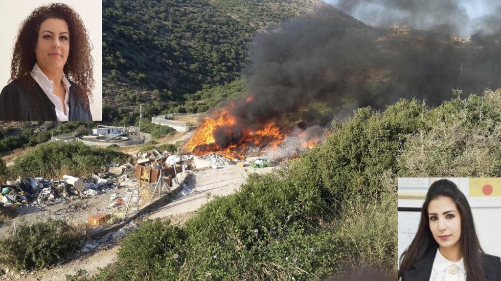 פורטל הכרמל