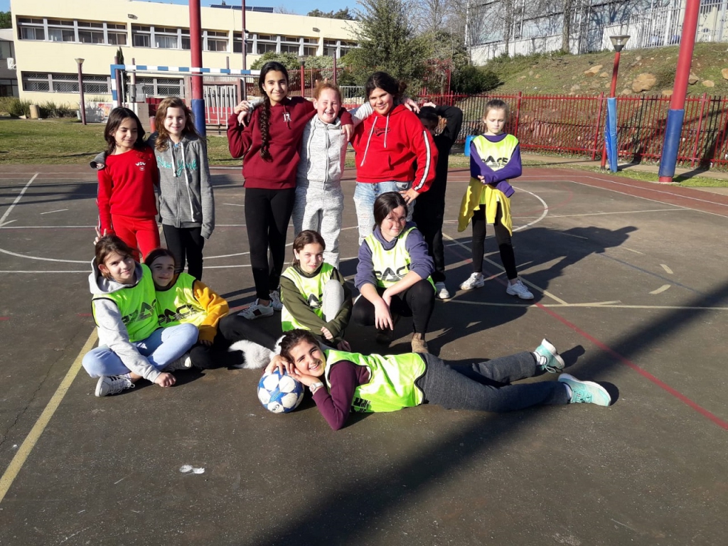 פורטל הכרמל