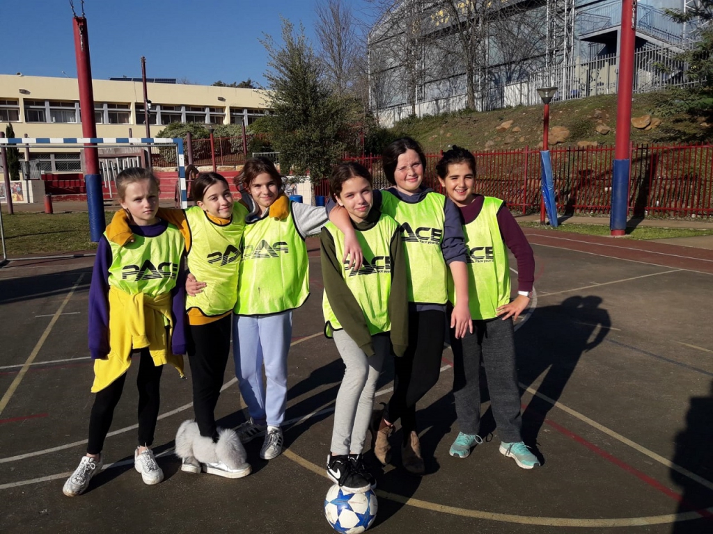 פורטל הכרמל