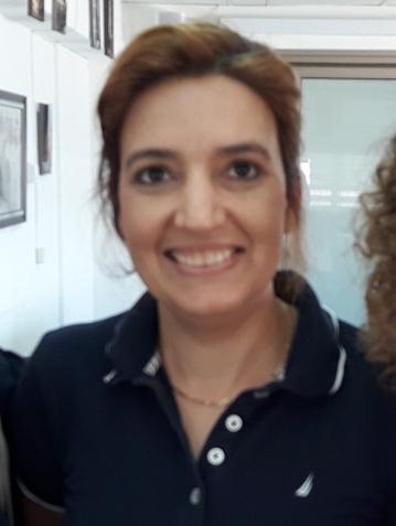 פורטל הכרמל