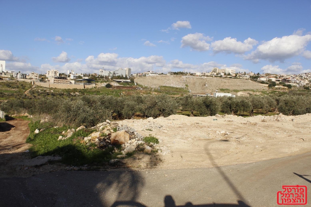 פורטל הכרמל