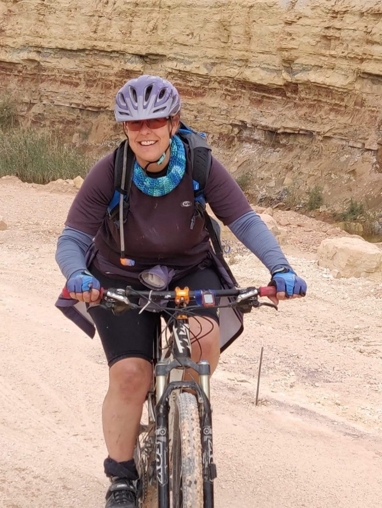 פורטל הכרמל