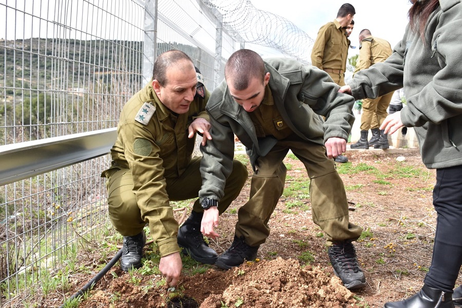 פורטל הכרמל