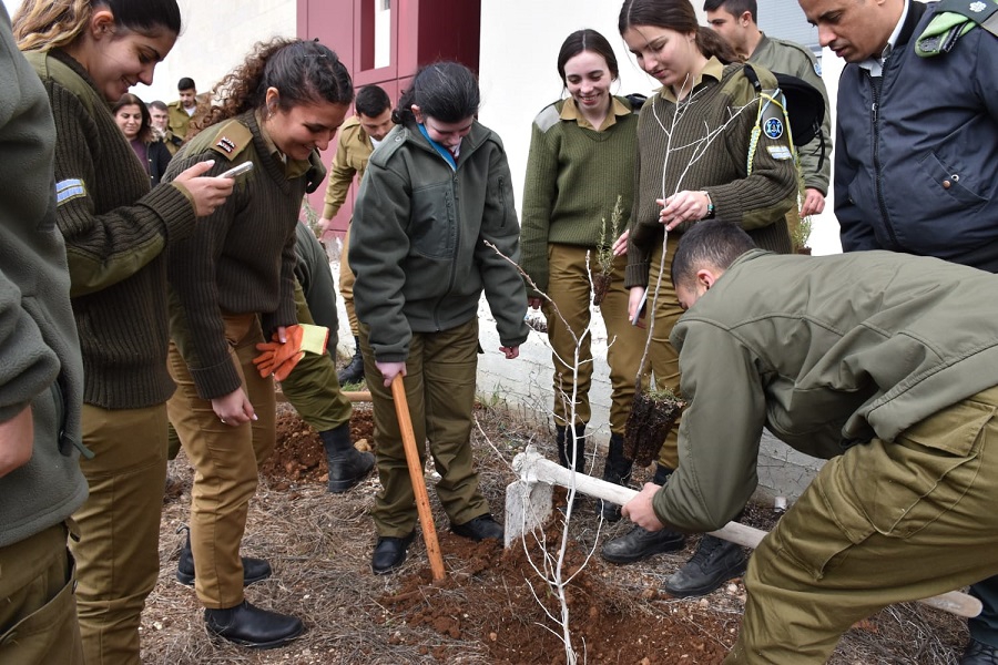 פורטל הכרמל