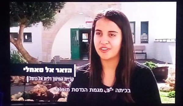 פורטל הכרמל