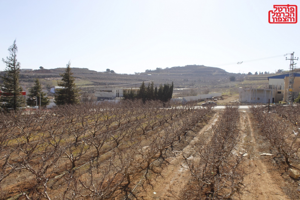 פורטל הכרמל