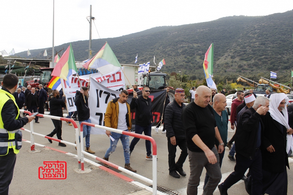 פורטל הכרמל