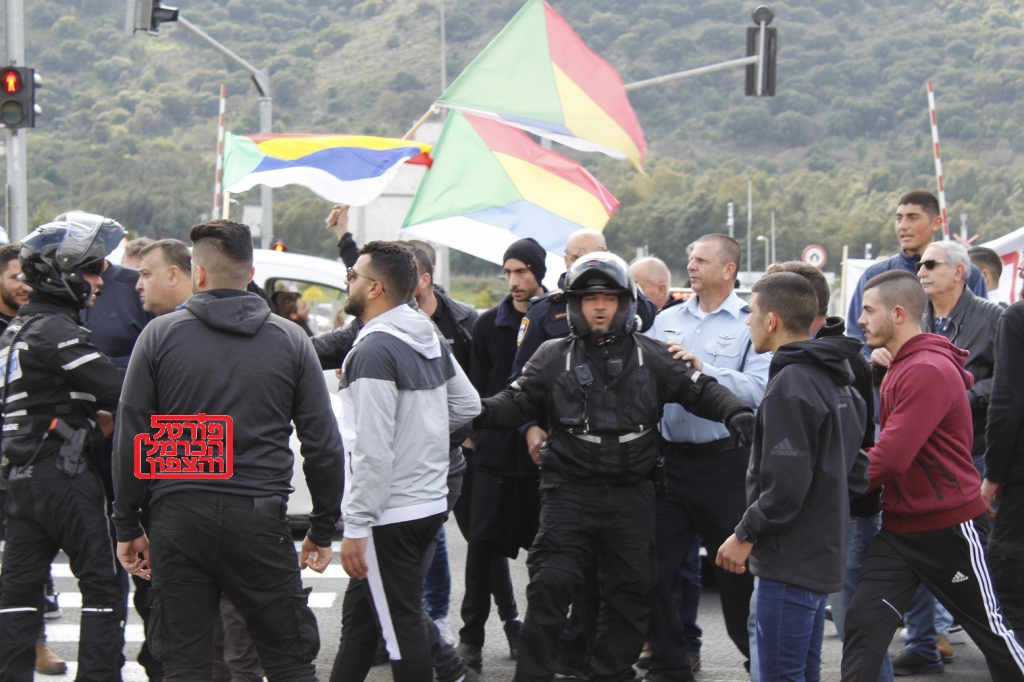 פורטל הכרמל