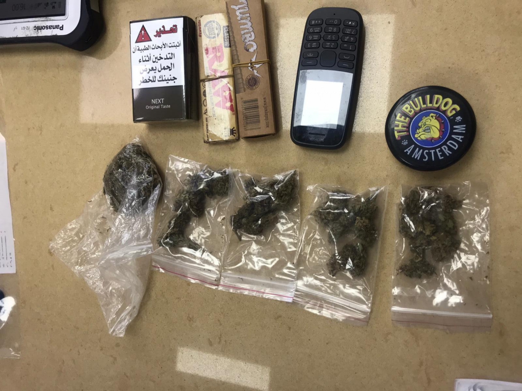 פורטל הכרמל