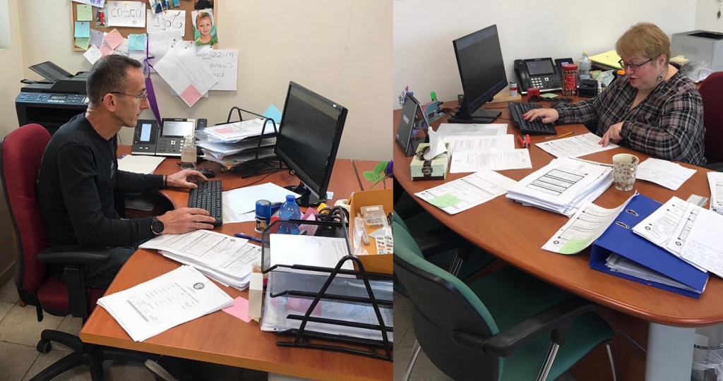 פורטל הכרמל