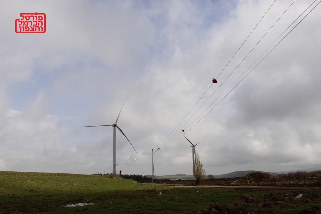 פורטל הכרמל