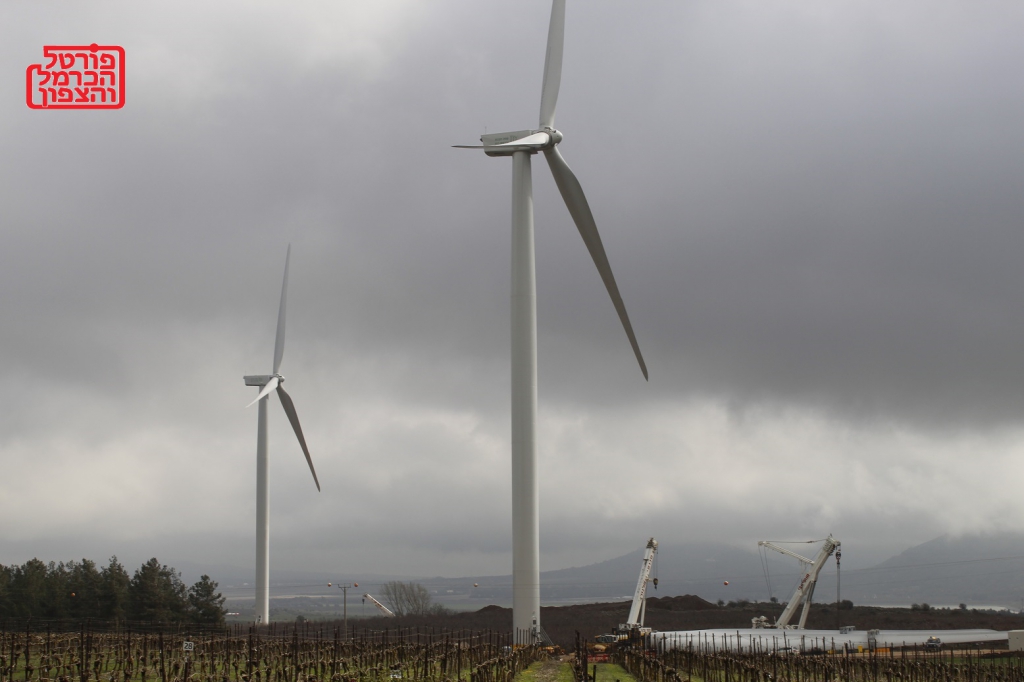 פורטל הכרמל