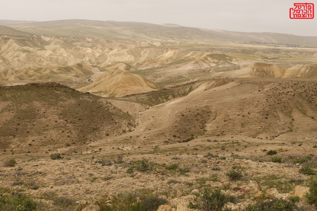 לתת סיכוי שווה