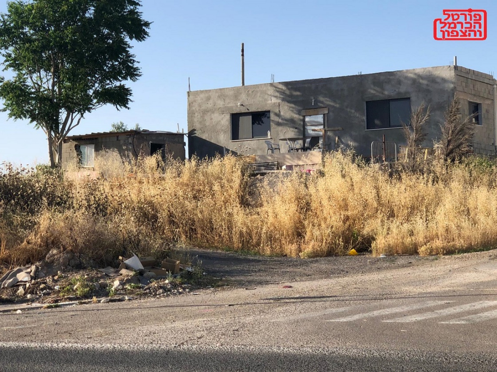 פורטל הכרמל