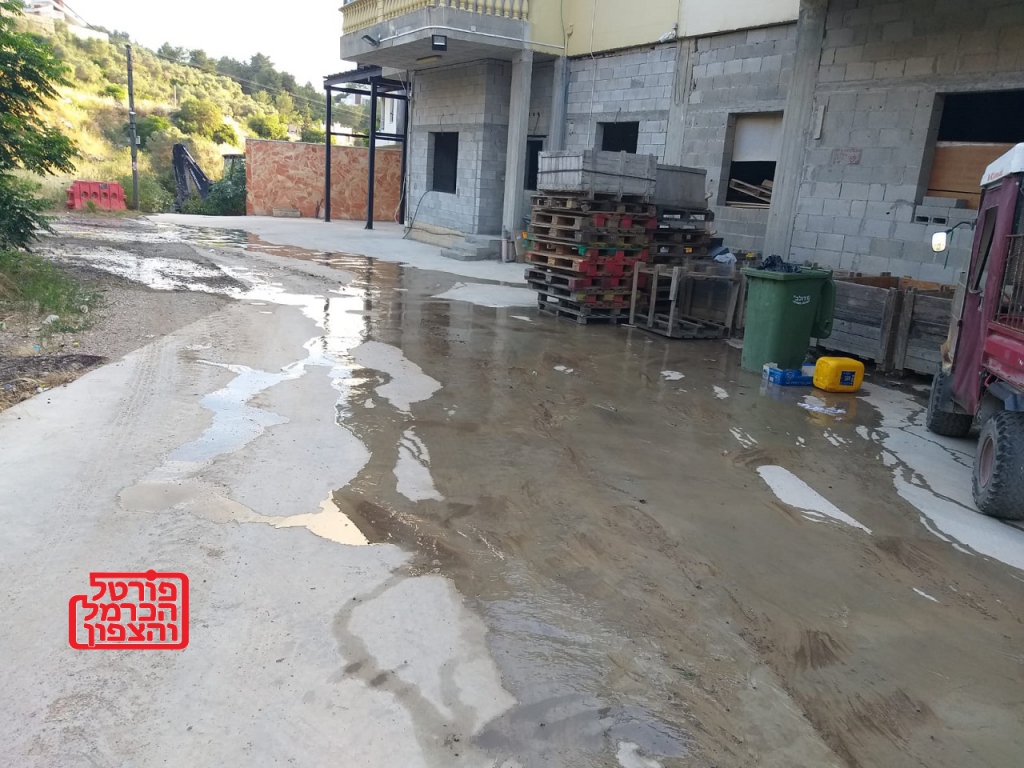 פורטל הכרמל