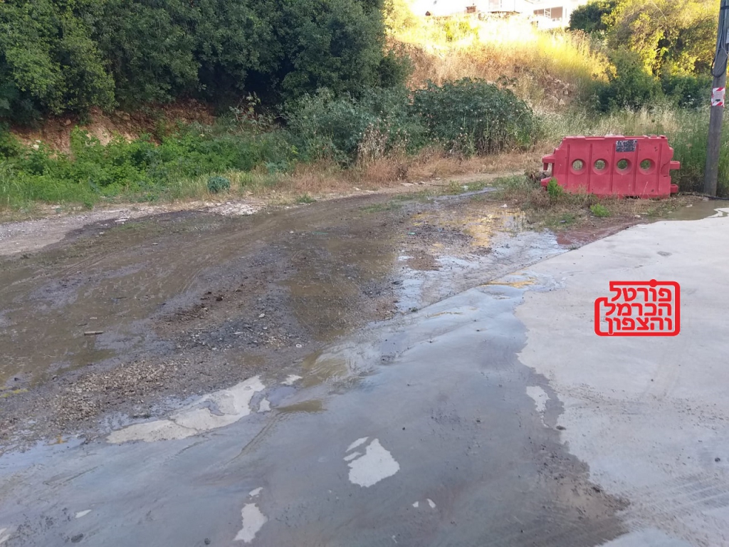 פורטל הכרמל